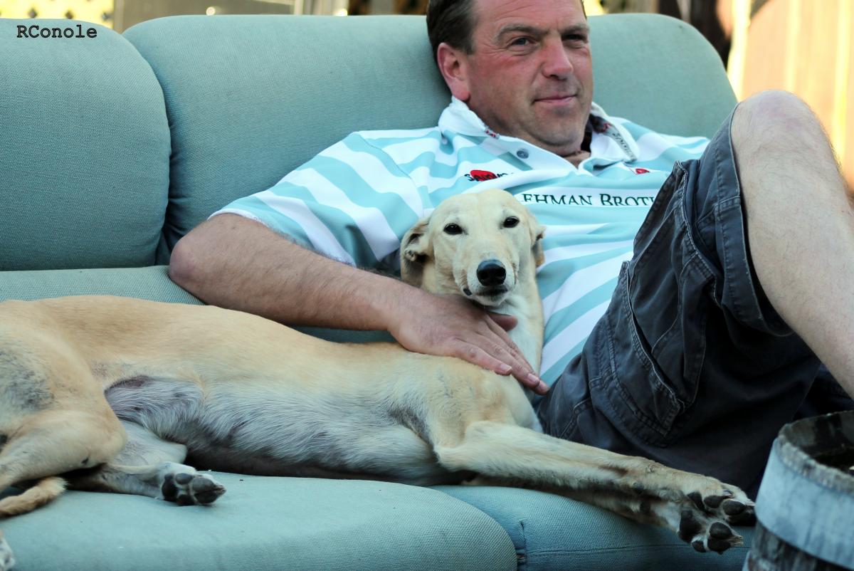 Should You Let Dog On Sofa